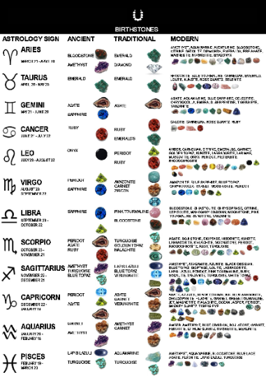 Drop Circle Earrings