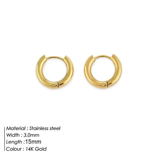 Stainless Steel Earring Earrings | Women Stainless Custom Earring -